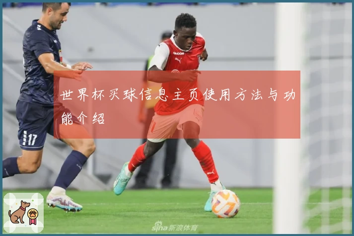 世界杯买球信息主页使用方法与功能介绍