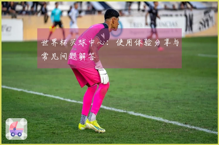 世界杯买球中心：使用体验分享与常见问题解答