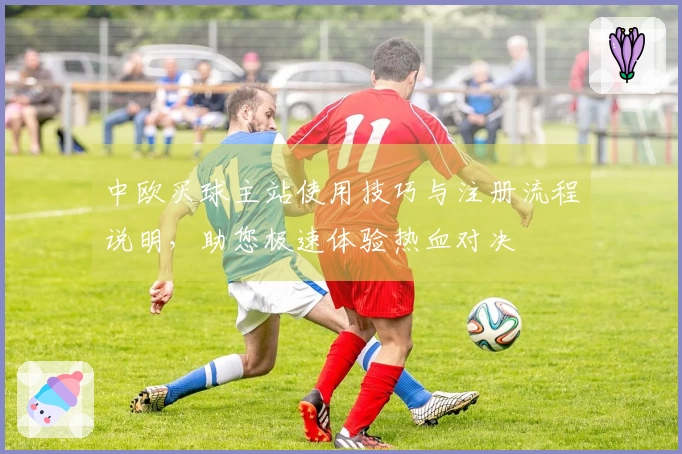 中欧买球主站使用技巧与注册流程说明，助您极速体验热血对决