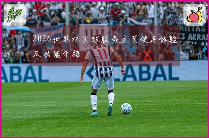 2026世界杯买球服务主页使用体验及功能介绍