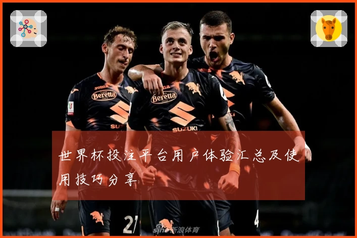 世界杯投注平台用户体验汇总及使用技巧分享
