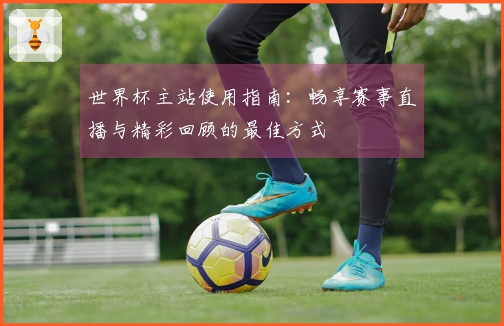 世界杯主站使用指南：畅享赛事直播与精彩回顾的最佳方式