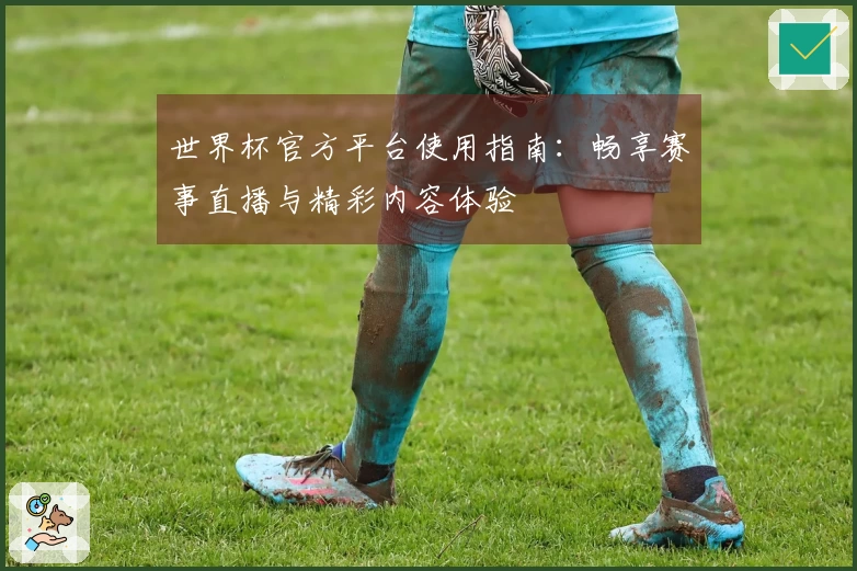世界杯官方平台使用指南：畅享赛事直播与精彩内容体验