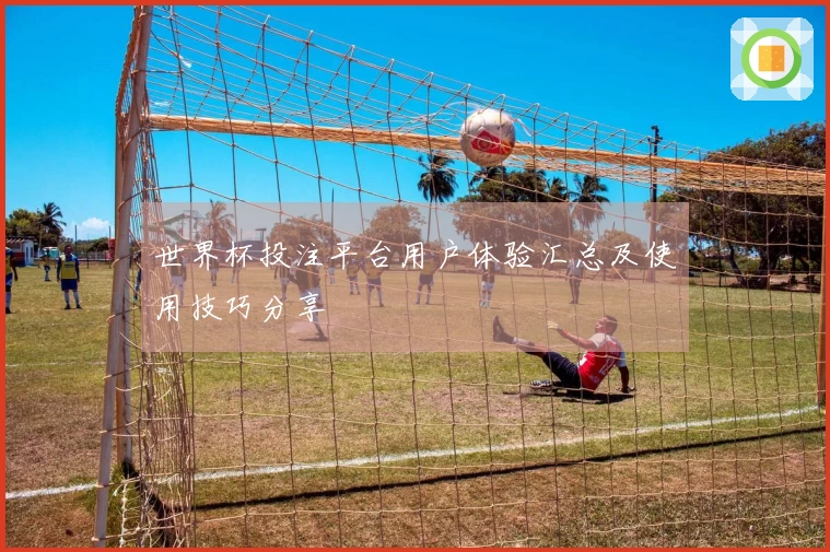 世界杯投注平台用户体验汇总及使用技巧分享